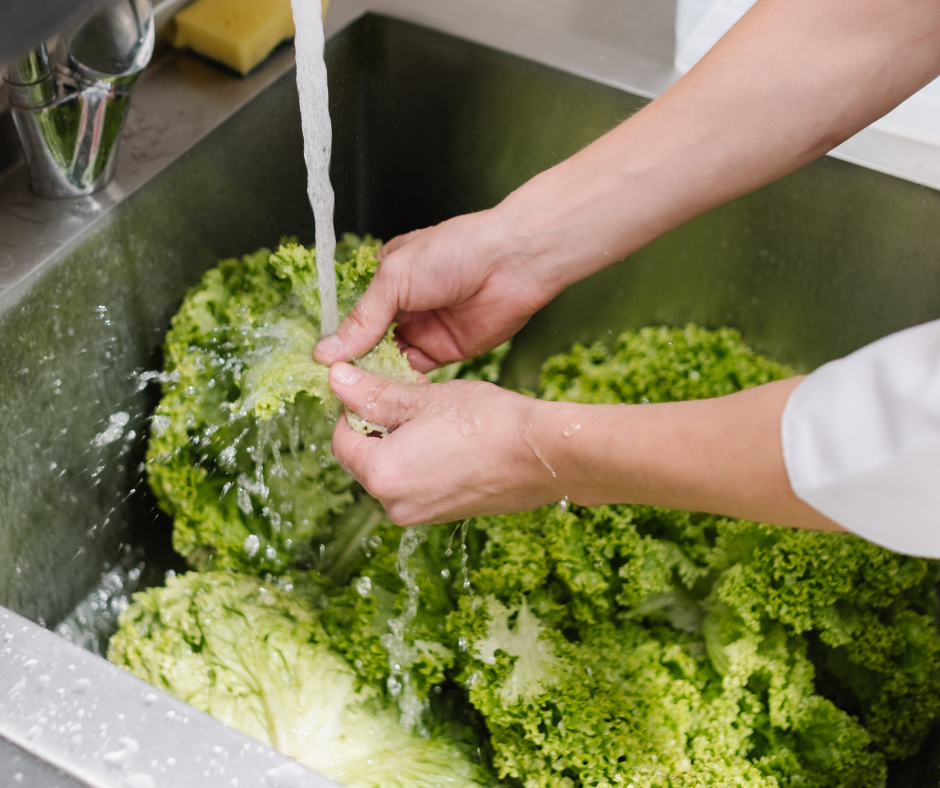 food safety courses